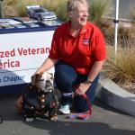 Vettes_Vets_0032 (November 12, 2017)